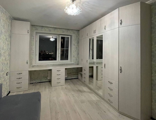 Рабочая зона модель r290 купить в Электроуглях
