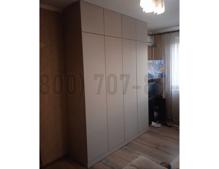 Шкаф в стиле минимализм в Электроуглях